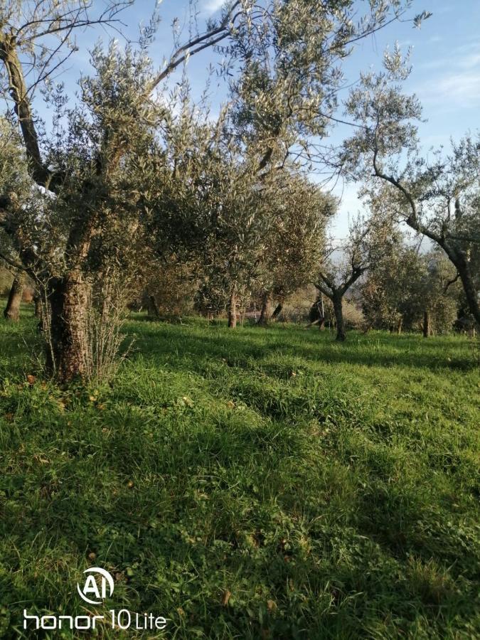 Appartamento Serenella Maenza Luaran gambar