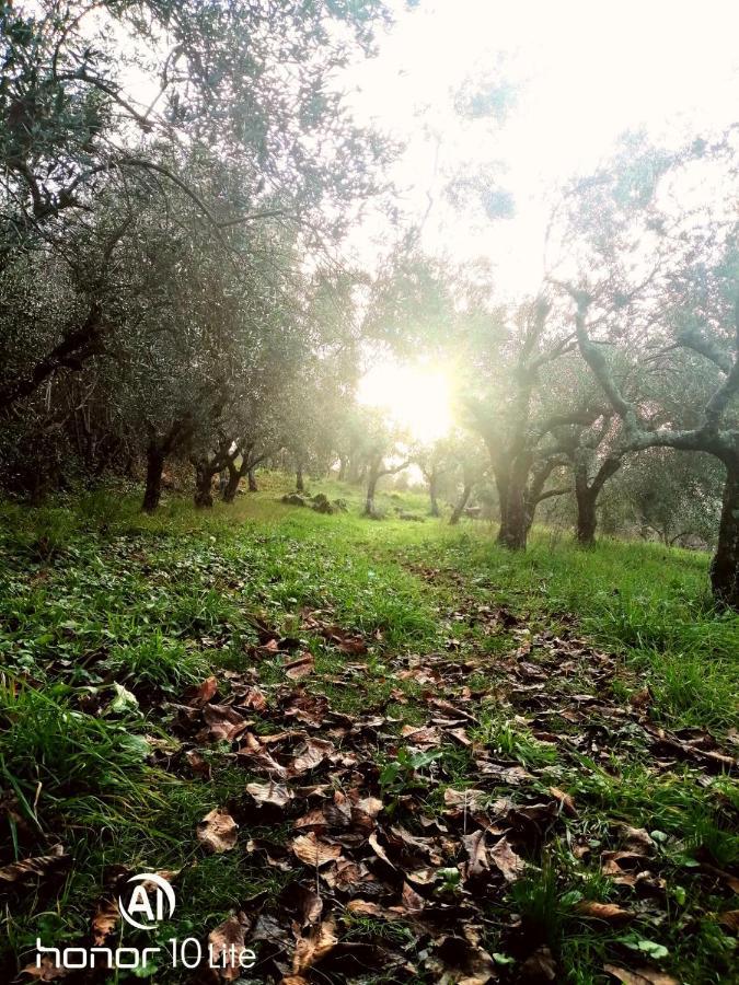 Appartamento Serenella Maenza Luaran gambar